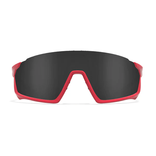 GP-1 (Custom) - Image 2